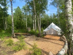 Off-grid forest glamping