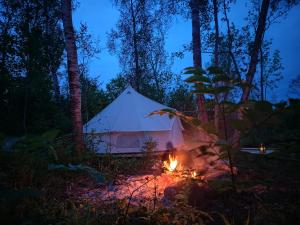 Off-grid forest glamping