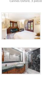 Luxury apartment in Cannes