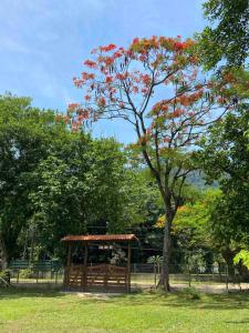 Sítio Bom Dia - Casa de Temporada com Piscina, Churrasqueira e Natureza em Saquarema