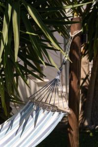 Eden apartments Paliouri- Concordia apartment