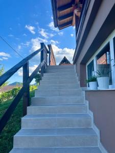 Wooden house Brezni