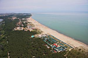 Apartments in Rosolina Mare 24914