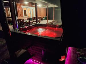 Toma pirts BRĪVDIENU