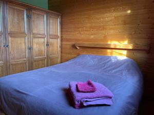 Chalets Cabanon : photos des chambres