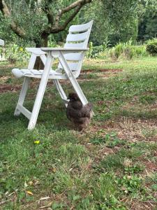 La Pace del Brolo dello Agnellino