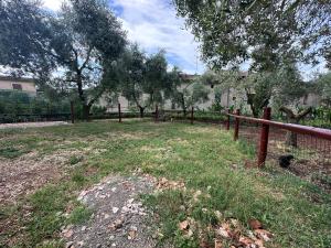 La Pace del Brolo dello Agnellino