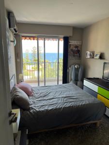 Appartements Appartement charmant vue mer - climatise : photos des chambres