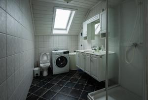 Seljevaagen Penthouse