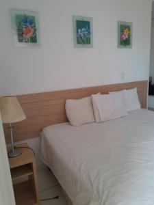 Golden Dolphin Express