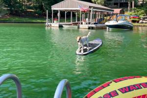 Pawsitive Retreat - 4hvězdičkové hotely ve městě Huddleston