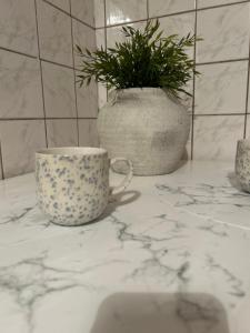 Stadtwohnung mit großer Terrasse, 2 Schlafzimmern