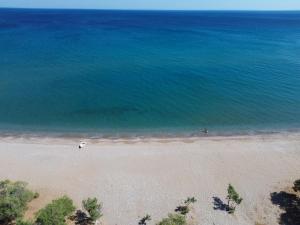 KYNTHIA seaview apartments samos