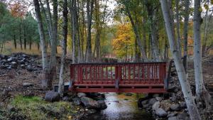 Cozy Cabin, near Mosier and Hood River