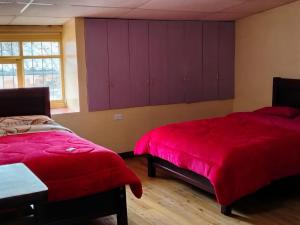 Hostal Mediodía MATRIZ