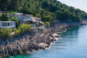 Apartments by the sea Cove Solotisa, Hvar - 5610