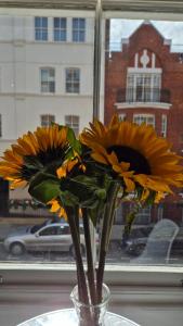 My Home in Marylebone