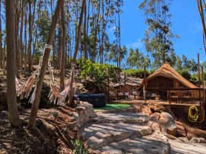 Eucalibrios-Tenda Alecrim