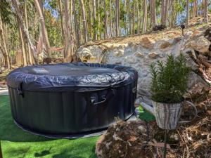 Eucalibrios-Tenda Alecrim