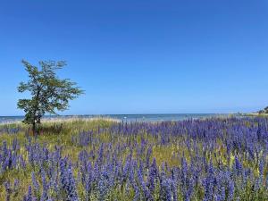 Seaside Apartment near Visby Promenade