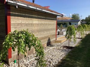Guesthouse Near Skummelsov Beach