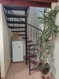 Casa Ramirez - Guest House