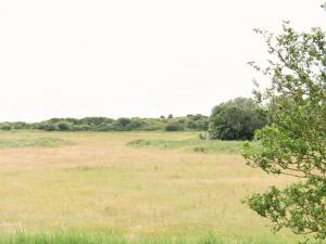 Apartment near Dutch Beach and Dunes