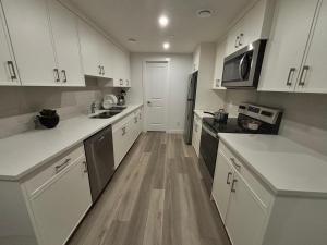 New 1-bedroom basement apartment