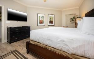 Phoenix IX 1506 condo