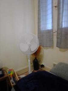 Appartements Appartement entier de 40 m2 proche gare Auterive : photos des chambres