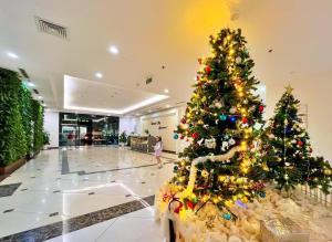 Alices home Times city