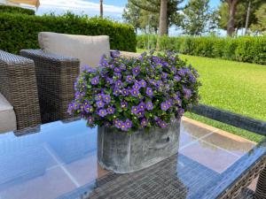 Andalusian Town house with Sea view