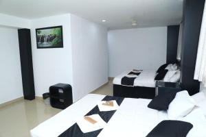 Erica Hotel International