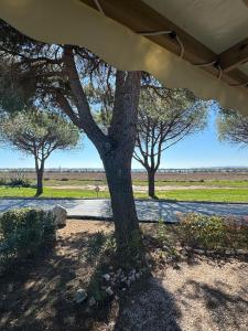 Maisons de vacances Mobile Home 450 4-6 pers Camping Siblu Le Lac des Reves : Maison 2 Chambres