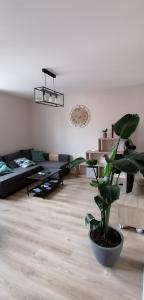 Appartements Appartement proche Nausicaa et la Vieille ville : photos des chambres