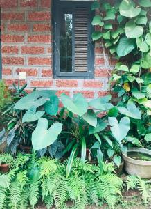 Atithi Parinay Homestay