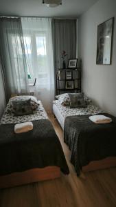 Retrospekcja - Apartament w centrum