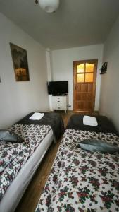 Retrospekcja - Apartament w centrum