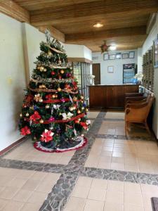 Alfonso Hotel