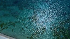 Ваканционен Апартамент