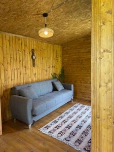 Cottages in Chirdili