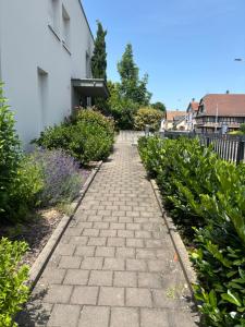 Appartements Robertsau, jardin en ville : photos des chambres