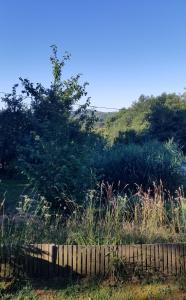 Chalets Le petit paradis, mini maison,nature,confort,calme : photos des chambres