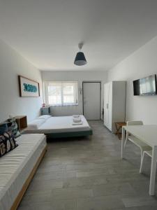 Grazioso Mono sulla Costa dei Trabocchi