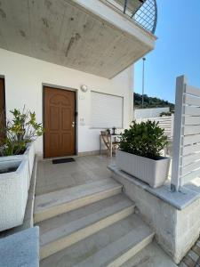 Grazioso Mono sulla Costa dei Trabocchi