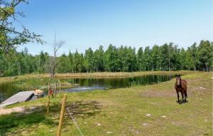 1 Bedroom Gorgeous Home In Ryssby