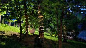 Brvnara Majstorović