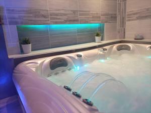 A lOmbre du Lilas II - avec Spa privatif en supplément