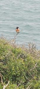 Raymond House Guest House Penally