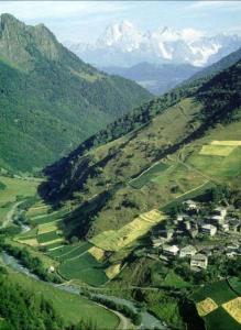 Guest House DEDA TINA